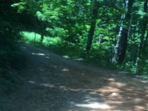 Jeep Ride - Nimblewell Gap