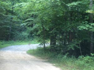 Jeep Trail through Nimblewell Gap