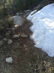 Snow along trail