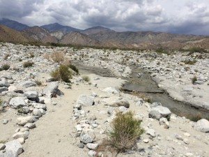 Close up of that white desert floor