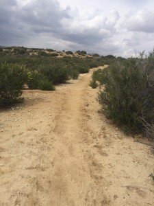 Wider trail generally along crests