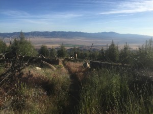 The scene from my camping spot to where I was going.  Descending into the desert.  