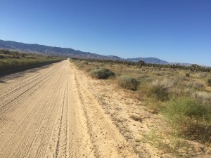 I hate when the trail looks likes this.  The road will never end I am sure