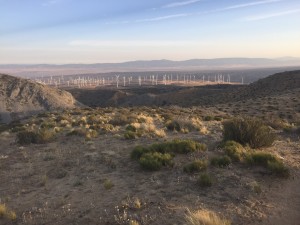 Always a wind turbine farm near by