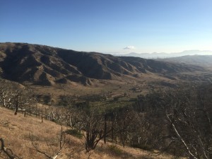 Fire damaged but a nice valley