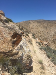 Hard to see in a picture.  The drop off to the left is significant but the trail is more than wide enough and flat.  Just don't trip on a rock and fall on your face :)