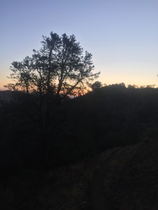 I love the sunrise on the PCT