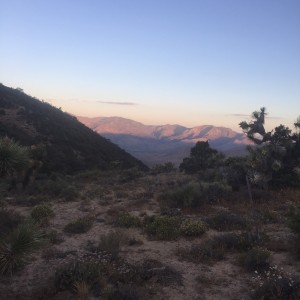 Sunrise on the desert