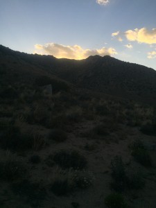 Sunrise on the desert