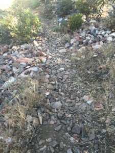 Had to constantly watch your step.  Rocky trail which gave me blisters as foot was always angled some way off a rock