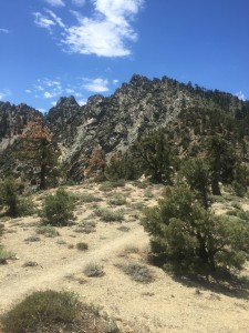 At the top of a crest and looking back at the rocks