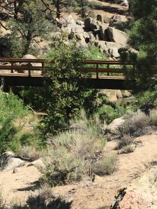 Bridge over Kern River