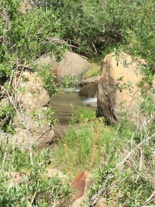 Nice flow of clear cold water