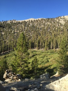 Just a beautiful area along the way back to the PCT