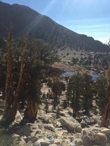 Chicken Spring Lake.  First lake in the High Sierra's that the PCT crosses.  Finally perhaps the "water everywhere" promise is coming true