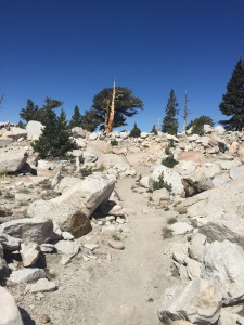 More rocks that trees but beautiful all the way