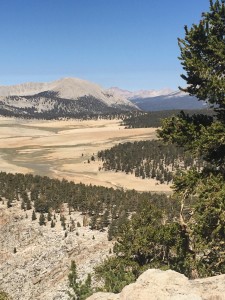 Large Meadow down from Cottonwood Pass