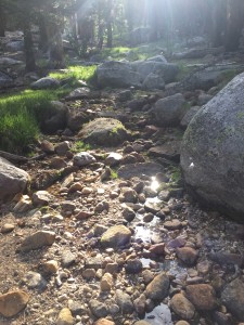 My first stream crossing :)