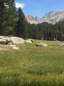 View to Mt. Whitney