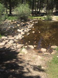 This is Wallace Creek.  Managed not to fall in