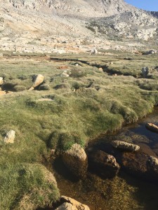 Small lakes and streams feeding larger lakes