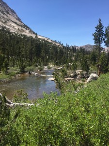 This river gets bigger and louder as the PCT goes along side for 3 miles or so