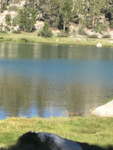 Bullfrog Lake with browsing deer.  Not allowed to camp here so have to go on a bit further.