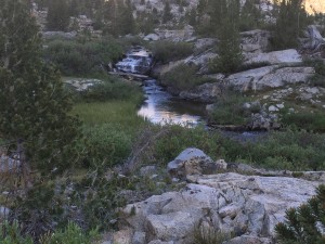 Little stream running into a marshy area (next picture)