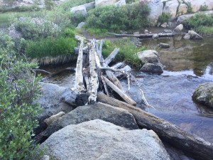 Inlet or outlet from the marshy area.. can't remember which.  Getting good at crossing logs