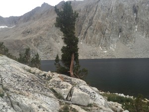 Lake Majorie on the south