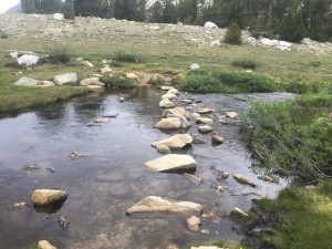 Stream crossing.  Still able to jump rocks and not get feet wet