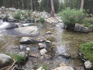 A slightly more challenging stream crossing