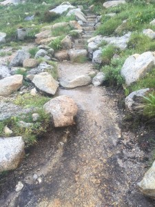 Water coming from everywhere and going down the trail