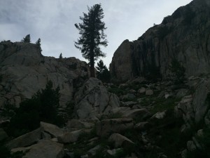 Looking back up the staircase