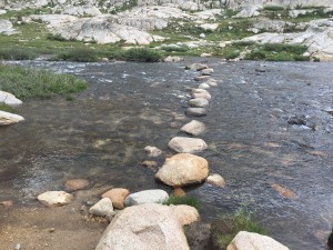 Evolution Creek, inflow to Evolution Lake.