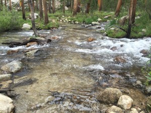 Evolution Creek crossing.  Actually have to wade across.  Water comes about half way up to knee