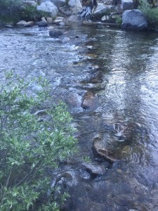 Bear Creek crossing.  Need to change shoes and socks and just wade across