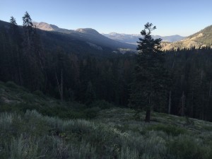 Just looking out over the landscape around Agnew Meadow