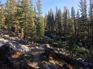 Trail and stream close to where I camped