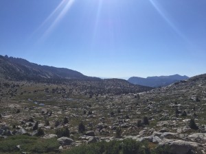 Tundra look on South side of Donahue Pass