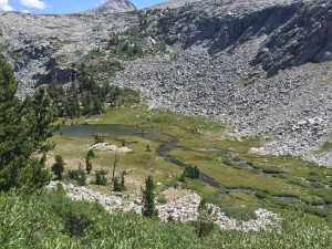 Looking down at the meadow in Lyell Valley