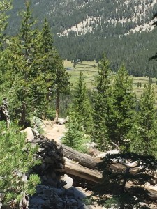 Looking down at meadow. There is a rather steep rocky descent from where I took this picture to the meadow below