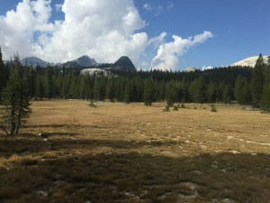 Meadows coming out of Tuolumne