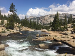 View of Tuolumne RIver