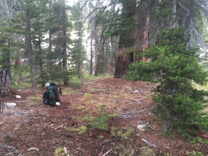 Camp site.  Pretty much the type of landscape I am hiking in