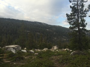 A look from my campsite