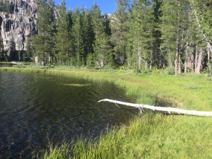 Wilma Lake right by camping spot