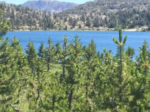 First look at Dorothy Lake after coming over a ridge