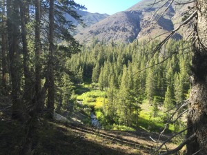 Typical view hiking from Tuolumne Meadows to Sonora Pass