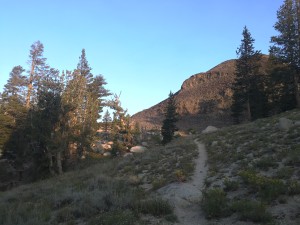 Trail is a mixture of dry forest and barren hillsides between Sonoma Pass and Tahoe